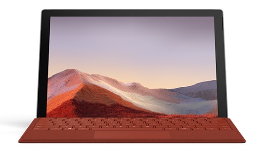 临湘清洁和维护 Surface